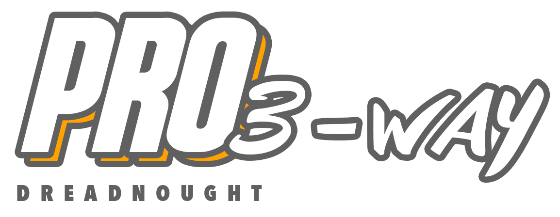 pro3logo