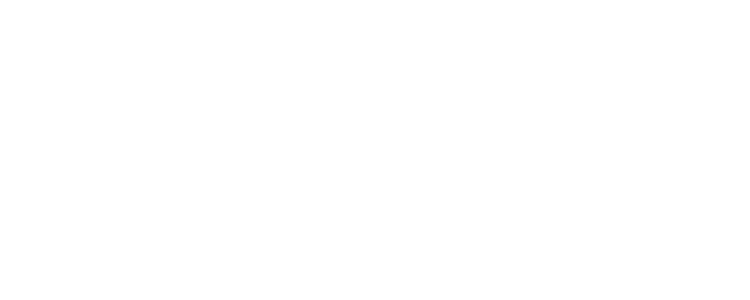 Fortune Auto Performance Suspension Systems
